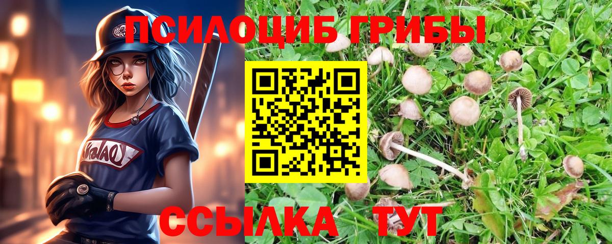 Псилоцибиновые грибы GOLDEN TEACHER  где купить наркоту  Галлюциногенные грибы ЛСД  Дмитров 