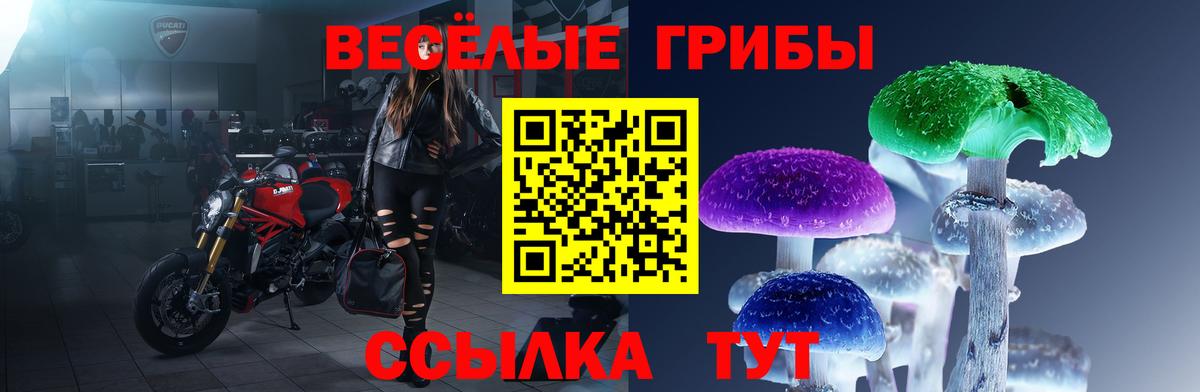 Дмитров  Псилоцибиновые грибы мицелий  Вход с VPN 